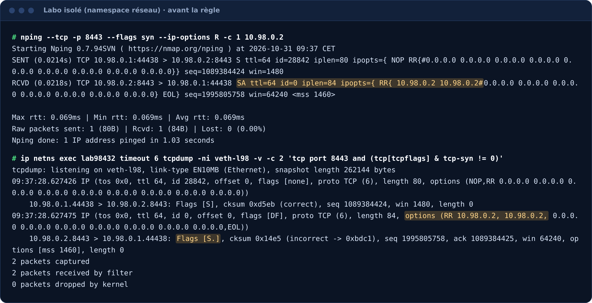 Labo avant la règle : nping et tcpdump montrent un SYN-ACK qui renvoie l'option Record Route